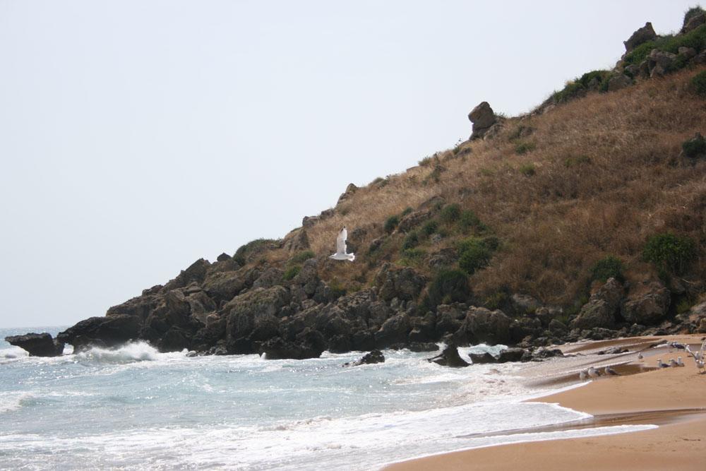 Casa Elvira Bed & Breakfast Isola Di Capo Rizzuto Dış mekan fotoğraf